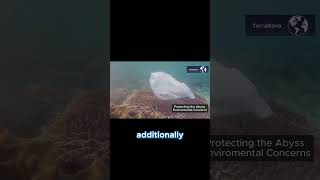 How Pollution Travels to the Deepest Ocean Deep #OceanConservation #MarianaTrench #TerraNova