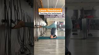 Learn Headstand, The king of asanas @yogatute #yogadaily #yogateacher #yoga #headstand #yogalife