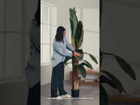 Artificial Banana Tree - Maia shop #shorts