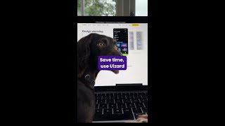 Save time, use Uizard 🧙‍♂️