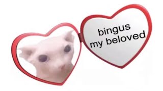 2.7 Bobux (Bobux)