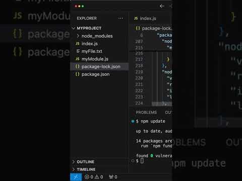 package-lock.json explained #nodejs #javascript #coding #programming