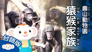 【看樂樂TV學臺語】集合啦!猿猴家族｜小行星樂樂TV
