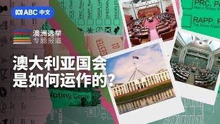 大选ABC：澳洲国会如何运作？参众两院都管什么？丨ABC中文