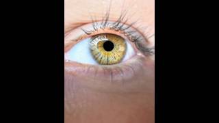 Obsessed… 💛💐 #iris #ai #aigenerated #roryrochford #quality #toptier #realistic #higgsfield #fyp