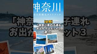 【子連れ必見】神奈川県の子連れお出かけスポット３選　#shorts  #観光  #お出かけ #子連れスポット
