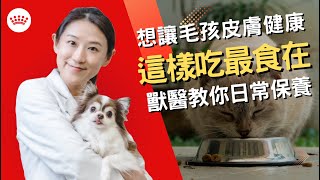 【醫起聊聊】想讓毛孩皮膚健健康康！獸醫教你吃這個最食在！｜法國皇家