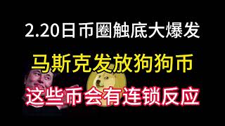 2.20日币圈触底大爆发！马斯克给美国人发放狗狗币！这些币会有连锁反应！