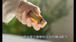 產品介紹 - 尤加利精油