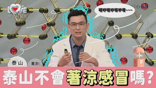 【泰山平裝版】穿暖一點就能預防感冒？那泰山穿那麼少，難道都不會著涼嗎？