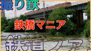 【鉄道ファン】散歩日和／のんびり日和／撮り鉄日和/湘南カラー