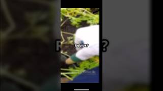ai is scary as hell #roblox #funnyai #aivideo #scaryai #ai #growagardenroblox
