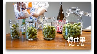 Homemade Green Plum Wine 梅酒輕鬆做 2021-2022