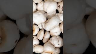 Simple & Health Phool Makhana #flamesnfervor #PhoolMakhana#FoxNuts#HealthySnacks#MakhanaRecipes