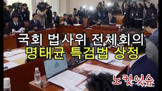 더불어민주당, 법사위에 '명태균 특검법' 상정