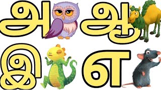 உயிர் எழுத்துக்கள்/அஆஇஈஉஊஎஏஐஒஓஔ/ uyirezhuthukal / tamil alphabets
