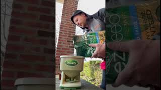 Scott’s EZ Seed Patch & Repair #lawncare #lawn #scotts #amazonfinds #amazon #amazonmusthaves