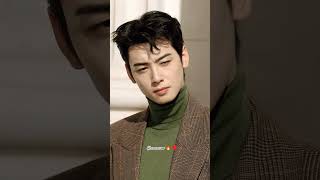 VI TU CARA Y 😍🥰♥️#chaeunwoo #eunwoo #nunu #leedongmin #aroha #idolkpop #kpopfyp #model #ysl #paris
