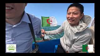 AMAZING ALGERIA !