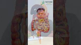 @mythrihospital4772 World Digestive Health Day 2025 | A Healthy Gut for a Healthier Life 🍽️🧬