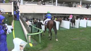 2012年 皐月賞・中山グランドジャンプ・アンタレスSウイナーズリポート