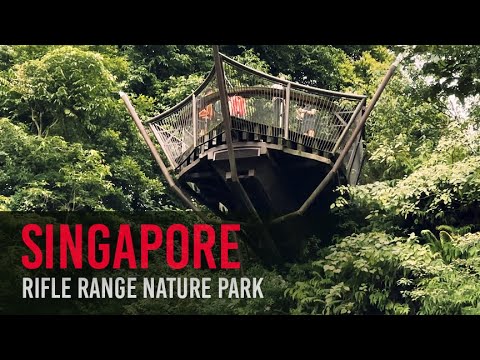 Hidden Gem: Rifle Range Nature Park Revealed #singaporenature #singaporeadventures