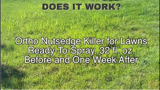 REVIEW:  Kill Nutsedge Fast With Ortho Nutsedge Killer RTU Spray