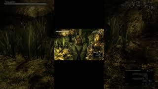 MGS3 Remake better be this detailed