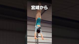 チャイルドクラス2ヶ月無料体験実施中‼️ジュニアクラス(小学生)も体操とトランポリン1回ずつ体験出来ます🤸