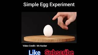 Awesome egg experiment at home #shorts #youtubeshorts #mrhacker