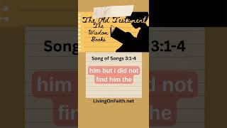 Reading 1: Song of Songs 3:1-4 #catholic #liturgy #dailymass