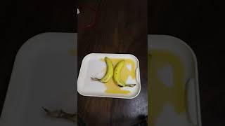 Banana Frooti salt #shorts #short #shots #banana #frooti #salt #charger #experiment #5minutecrafts