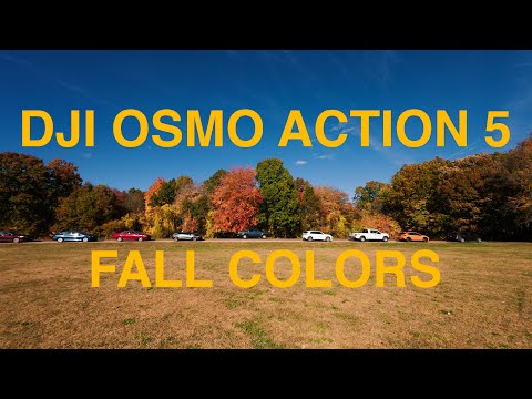 DJI Osmo Action 5 Pro: Beautiful Fall Colors - High Bitrate - 10Bit