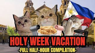 Cat MEMES: HOLY WEEK VACATION - FULL HALF HOUR COMPILATION