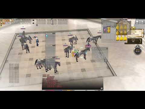 Mabinogi 新瑪奇 芬恩寶珠閃耀 第2階段升段考試 SS