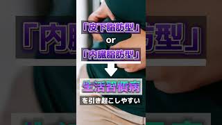 肥満には2種類ある⁉︎ #健康 #肥満 #メタボリックシンドローム #メタボ #生活習慣病 #糖尿病 #高血圧 #内臓脂肪 #健康豆知識