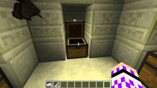 Minecraft Info: Desert Temples!!