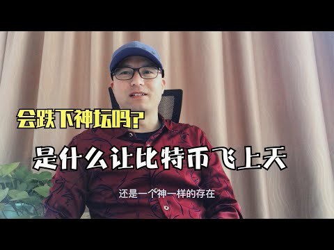 是什么让比特币飞上天？会跌下神坛吗？