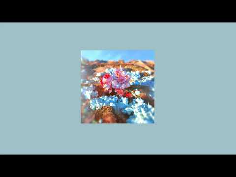 Chill Children - BACKWHEN (EP 2017)