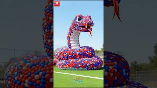 Giant Foam Snake Turns Into Cartoon Snake! 🐍✨ #shorts