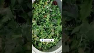 Thotakura fry recipe in telugu | #thotakurafry #thotakurarecipes #thotakura #shorts #recipeshorts