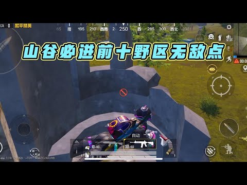 蓝少和平精英：山谷地图野区无敌点，不仅物资超多还能必进前十！