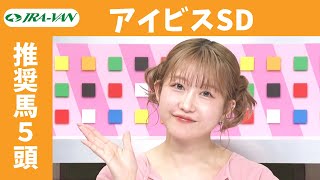 【アイビスサマーダッシュ 2025】JRA公式データを深掘！推奨馬発表！/ JRA-VAN【公式】