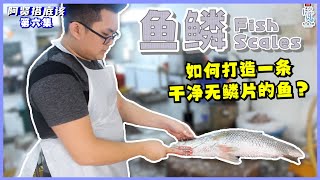 【阿贤搭底该EP6】如何打造一条干净无鳞片的鱼？