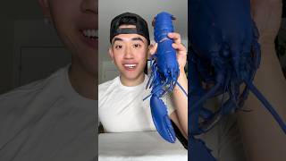 EATING PREGNANT BLUE LOBSTER