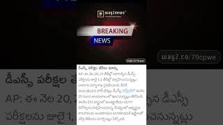 #news #dsc