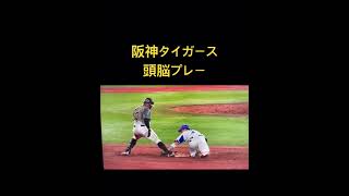 阪神タイガース　頭脳プレー #野球 #甲子園 #hanshintigers #プロ野球 #阪神タイガース #横浜denaベイスターズ #牧秀悟