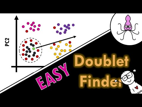 How does doublet finder work? Easy explanation!
