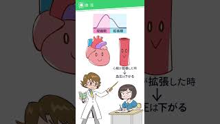 【サクッと説明】血圧