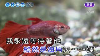 海角天涯~王芷蕾~男Eb調~伴奏~音樂丙
